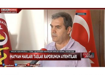 TVHB Genel Sekreteri Sn. H. Haluk Aşkaroğlu’nun Hayvan Hakları Kanununa yönelik Taslak Rapor üzerine değerlendirmeleri