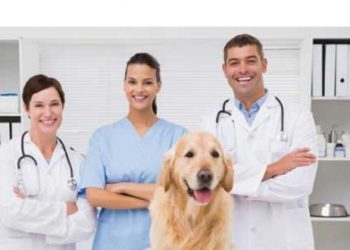 Veteriner Hekimlikte ‘yeniden yapılanma’ önerisi