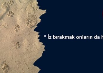 TVHB: “Hayvanları koruma politikalarının sistematiği olmalı!”