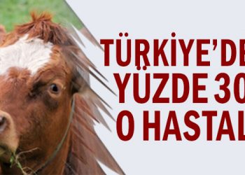 “Türkiye’de ineklerin yüzde 30’unda Mastitis hastalığı var”