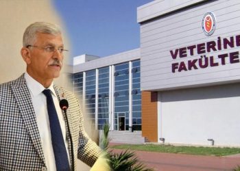“Veteriner Hekimlik eğitimi yeniden planlanmalıdır”