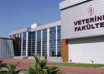 “Veteriner Hekimlik eğitimi yeniden planlanmalıdır”