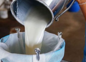 “Suni Tohumlamada ırk uyumu şartının kaldırılmasını doğru bulmuyoruz”