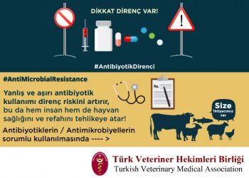 “Etkili Antibiyotik Geliştirilmezse 2050 Yılında 10 Milyon İnsan Ölecek ”