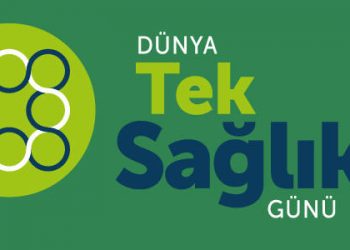 “İhbarı zorunlu 50 hastalıktan 26’sı hayvanlardan bulaşıyor”