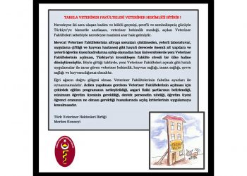 Tabela Veteriner Fakülteleri Veteriner Hekimliği Bitirir