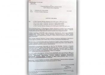 Veteriner Fakültesi Diploması