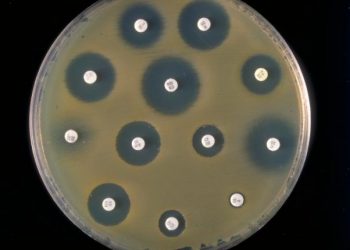 “Etkili Antibiyotik Geliştirilmezse 2050 Yılında 10 Milyon İnsan Ölecek ”