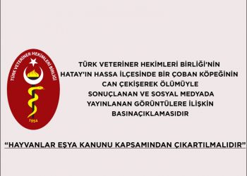 TVHB Basın Açıklaması 30.12.2019