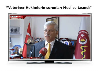 “Veteriner Hekimlerin sorunları Meclise taşındı”