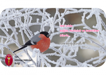 Yeni yılınız kutlu olsun…