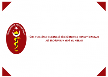 TVHB Merkez Konseyi Başkanı Ali EROĞLU’nun Yeni Yıl Mesajı