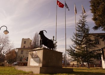 Veteriner Hekimlerin beklediği haber: Uzmanlık Kurulu toplanıyor!