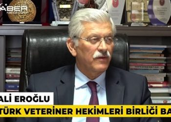 TVHB Başkanı Eroğlu: Halen hayvancılıkta bir noktayı yakalayabilmiş değiliz!