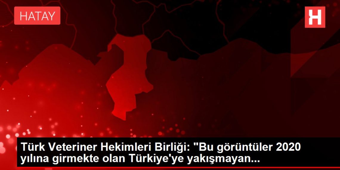 Türk Veteriner Hekimleri Birliği: “Bu görüntüler 2020 yılına girmekte olan Türkiye’ye yakışmayan…