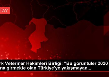 Türk Veteriner Hekimleri Birliği: “Bu görüntüler 2020 yılına girmekte olan Türkiye’ye yakışmayan…