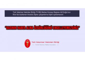 “Basının Haber Alma Özgürlüğünü Engelleyemezsiniz”