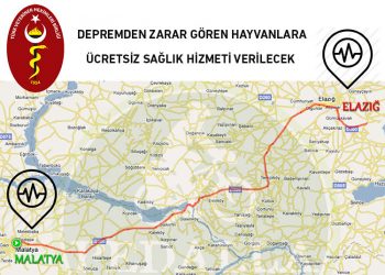 Depremden Zarar Gören Hayvanlara Ücretsiz Sağlık Hizmeti Verilecek