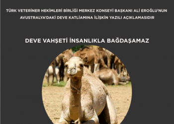 Deve Vahşeti İnsanlıkla Bağdaşamaz