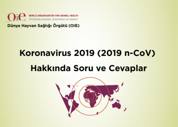 Koronavirus 2019 (2019 n-CoV) Hakkında Soru ve Cevaplar