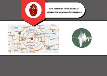 Türk Veteriner Hekimleri Birliği Depremzede Hayvanlar için Seferber