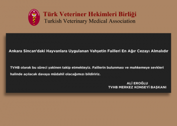 Ankara Sincan’daki Hayvanlara Uygulanan Vahşetin Failleri En Ağır Cezayı Almalıdır