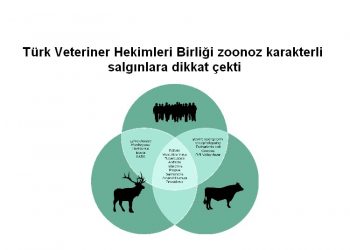 Türk Veteriner Hekimleri Birliği zoonoz karakterli salgınlara dikkat çekti