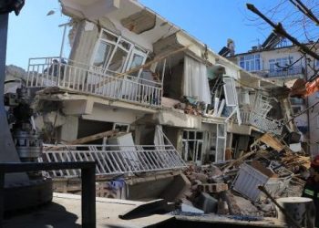 Veteriner Hekimler deprem mağduru hayvanlar için seferber!