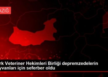 Türk Veteriner Hekimleri Birliği depremzedelerin hayvanları için seferber oldu
