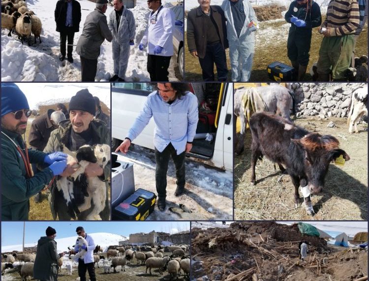 Türk Veteriner Hekimleri Birliği Van Bölgesi Veteriner Hekimleri Odası Başkanlığından deprem bölgesinde çıkarma.