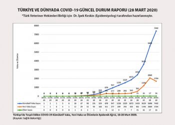 TÜRKİYE VE DÜNYADA COVID-19 GÜNCEL DURUM RAPORU (28 MART 2020)