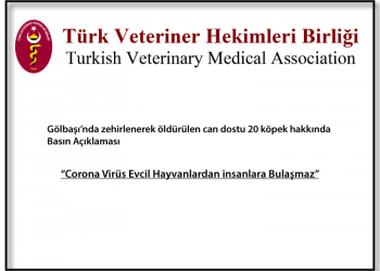 “Corona Virüs Evcil Hayvanlardan İnsanlara Bulaşmaz”