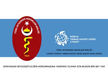 Dünyadaki Biyoçeşitliliğin Korunmasına Yardımcı Olmak İçin Bugün Bir Şey Yap