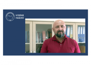 Sayın Prof. Dr. Zafer Gönülalan