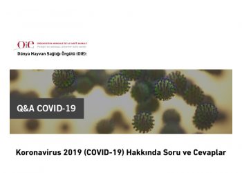 Koronavirus 2019 (COVID-19) Hakkında Soru ve Cevaplar