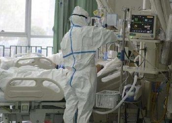 Veteriner Hekimlerden “Koronavirüs ile mücadeleye hazırız” mesajı!