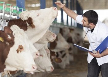 Veteriner Hekimlerden ‘Koronavirüs ile mücadeleye hazırız’ mesajı