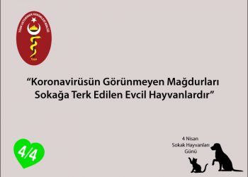 4 Nisan Sokak Hayvanları Günü
