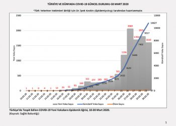 Türkiye ve Dünyada COVID-19 Güncel Durum Raporu (30 Mart 2020)