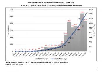 Türkiye ve Dünyada COVID-19 Güncel Durum Raporu (1 Nisan 2020)