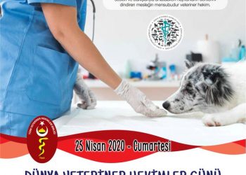 “Covid-19 Salgını , Veteriner Hekimsiz İnsan Sağlığının Refahının Olamayacağını Gösterdi