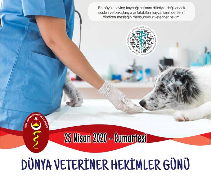 “Covid-19 Salgını , Veteriner Hekimsiz İnsan Sağlığının Refahının Olamayacağını Gösterdi