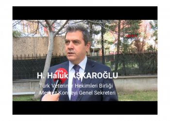 Ev hayvanlarının virüse karşı önlemi nasıl alınmalı?