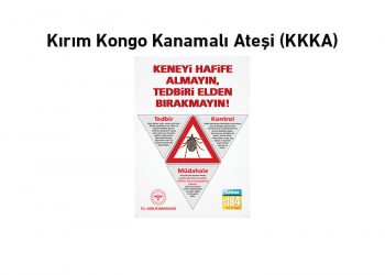 Kırım Kongo Kanamalı Ateşi (KKKA)