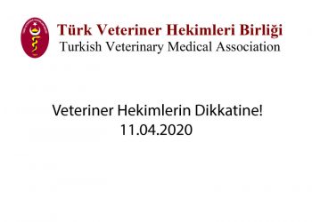 Veteriner Hekimlerin Dikkatine! 11.04.2020