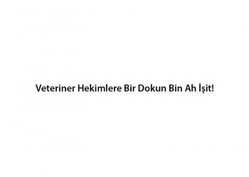 Veteriner Hekimlere Bir Dokun Bin Ah İşit!