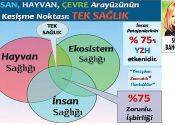 Yeniden ‘Tek Sağlık’