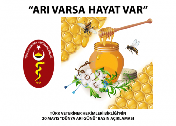 “ARI VARSA HAYAT VAR”