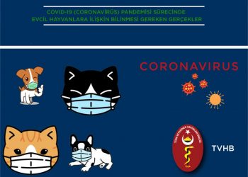 COVID-19 (Coronavirüs) Pandemisi Sürecinde  Evcil Hayvanlara İlişkin Bilinmesi Gereken Gerçekler