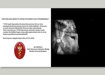 “Hayvanlara Şiddette Artık Polyanna’cılık Oynanmamalı”